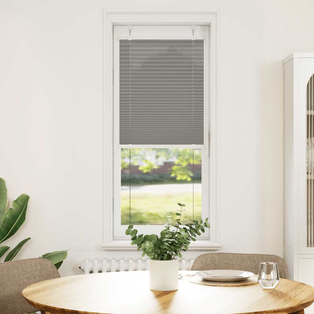 Pleated Blind, Anthracite